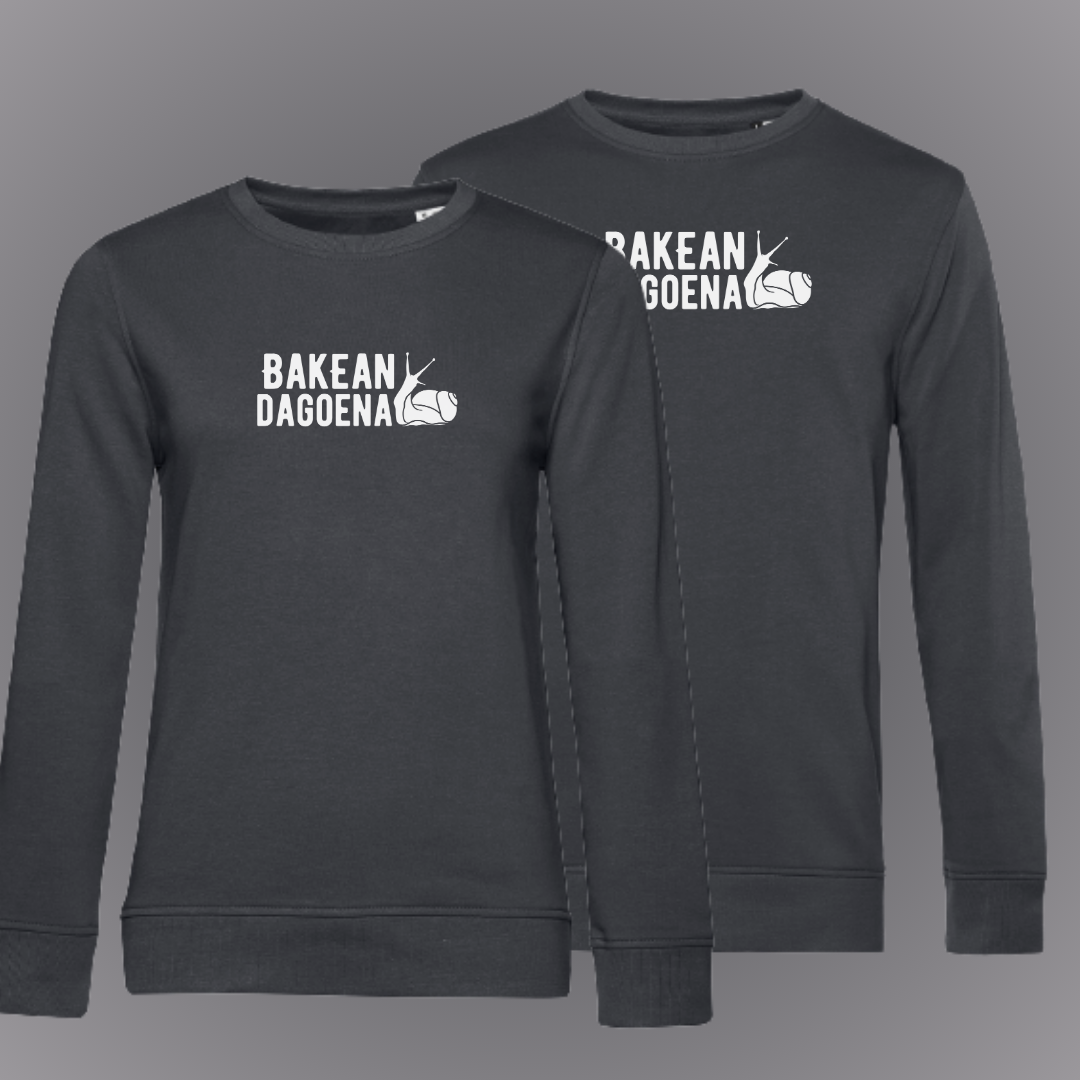 Jertse txanogabea - bakean 11 Jertse txanogabea - bakean - Irudia 9